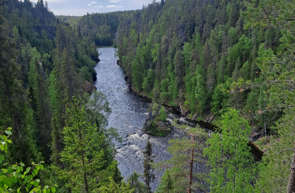 oulangan kansallispuistosta karhunkierrokselta näkymä koskelle