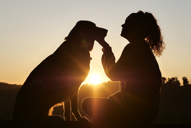 koira ja nainen, taustalla auringonlasku